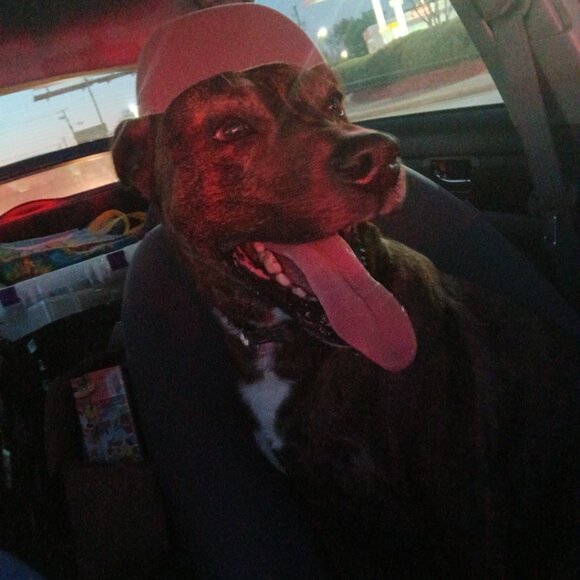 Meet your Posher, Dj's Dreams - Picture 2 of 5